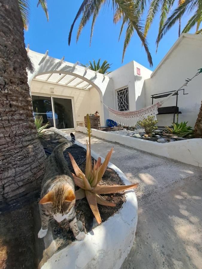 Ferienwohnung Palm Point Costa Calma Exterior foto